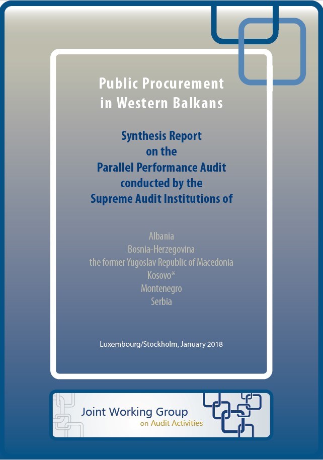 Synthesis Report on the Parallel Performance Audit